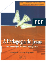Antonio Carlos Lugnani - A Pedagogia de Jesus.