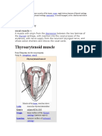Thyroarytenoid Muscle: Medical Dictionary