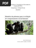 Modelos de primatas para a evolução do comportamento social humano