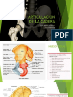 ARTICULACION DE LA CADERA 1 (1).pdf