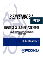 Inspeccion de eslinga y accesorios L.S. N° 3.pdf