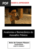 Anatomia e Biomecânica do Assoalho Pélvico