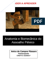 Anatomia e Biomecânica Do Assoalho Pélvico