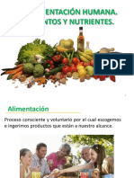 Los Nutrientes, Clasificacion y Tipos