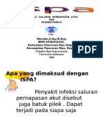 211463781-Lembar-Balik-ISPA.doc