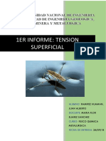 1err Informe Ficometa TENSION SUPERFICIAL.docx