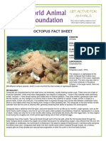 octopus.pdf