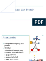 Asam Amino Dan Protein