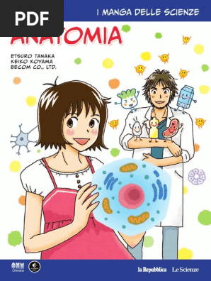 Manga 12 Anatomia