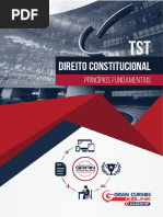 31365-principios-fundamentais.pdf