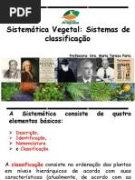 Apresentação- sistemas de classificação-2018.pptx