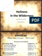 4.  Holiness in the Wilderness.pptx