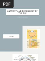 Anterior Segment of The Eye