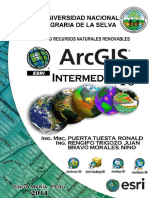 Arcgis Intermedio