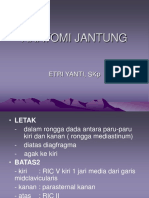 anatomi-jantung