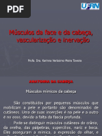 Guia Eficaz Para Esquemas e Mapas Mentais