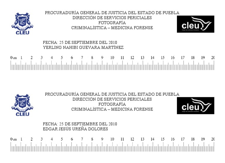 Testigo Métrico en Criminalística | PDF | Ciencias sociales