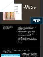 Pulpa dental: características y descripción