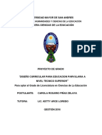 Proyecto de Grado - Carola Frias Zelaya.pdf