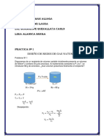 Practica de Redes de Gas
