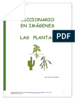 Diccionario en Imagenes Plantas