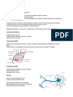 Histología Sist Nervioso