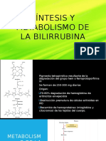 Síntesis y Metabolismo de La Bilirrubina
