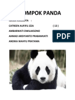 Kelompok Panda