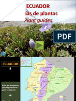 Plantas de Ecuador