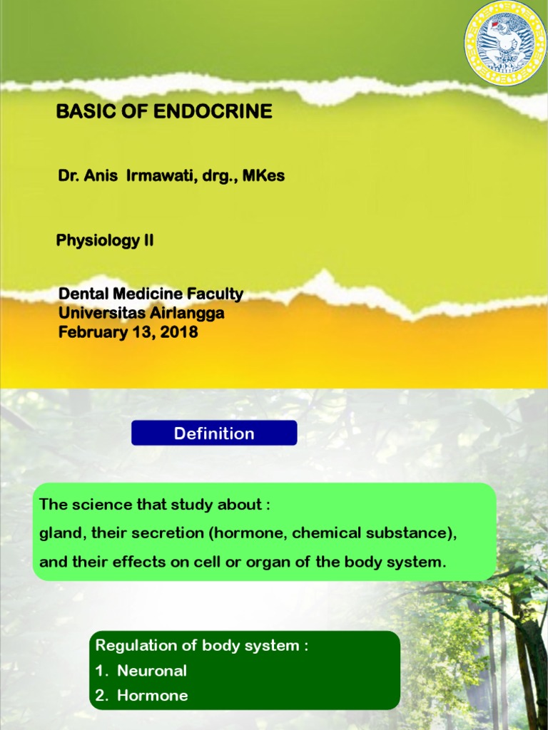 Endocrine System Basics Explained | PDF | Hormone | Secretion