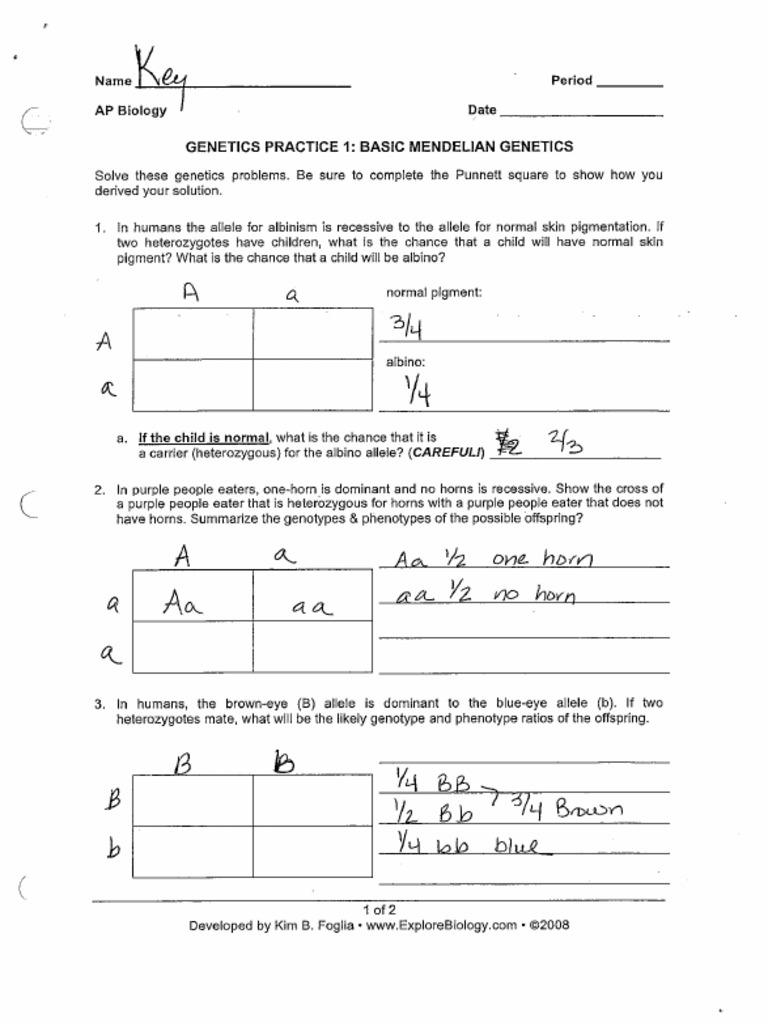 Ans Genetic Problems  PDF Inside Genetics Problems Worksheet Answer Key