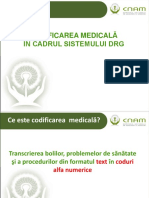 Instruiri Codificare 2016