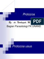 1.6.4.3b - Protozoa 1