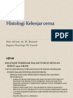 Histologi Organ Pencernaan