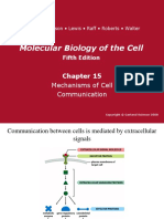 Molecular Biology of The Cell