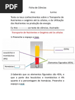 ficha-de-ciencias-transporte-de-nutrientes-e-oxigc3a9nio-atc3a9-c3a0s-cc3a9lulas.doc