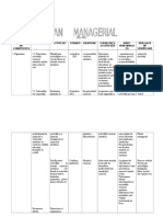 0_planul_managerial.doc