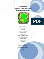 LAPORAN HASIL DISKUSI