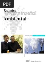 243139401-Quimica-Ambiental-pdf.pdf