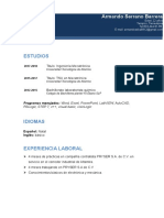 10 Curriculum Vitae Profesional Azul