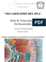 11.-Transcripción Eucariotes, Maduración MRNA