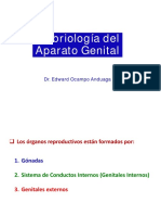 Embriología de los órganos reproductores