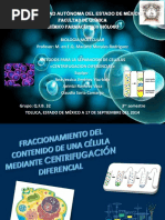 Centrifugacion Diferencial Celular