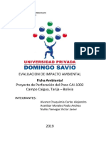 Universidad Privada Domingo Savio