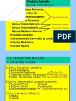 Guideline Stroke 2011