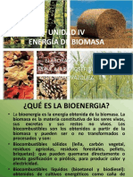 UNIDAD IV Energia de Biomasa