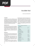 Encefalite viral