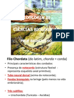 Filo Chordata e Evolução dos Vertebrados