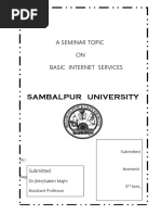 basic internet service