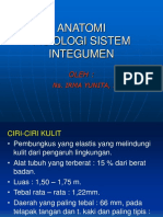 a.ANATOMI FISIOLOGI SISTEM INTEGUMEN.ppt